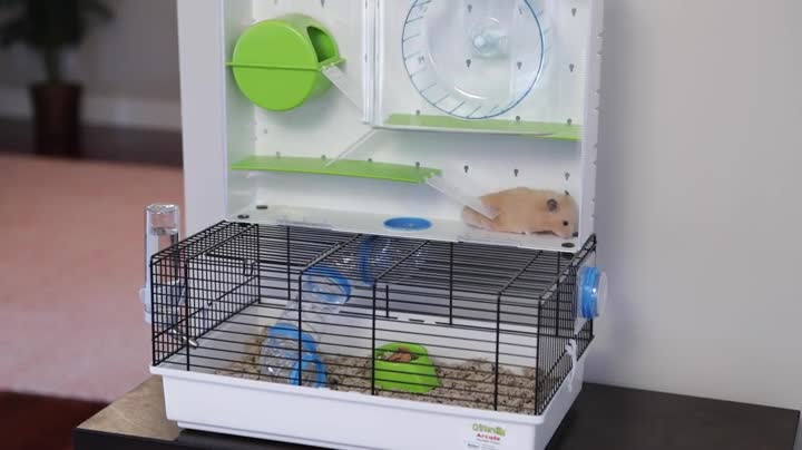 arcade hamster home