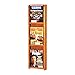 Wooden Mallet Divulge 3 Magazine Wall Display