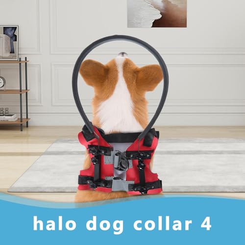 Halo chien aveugle réglable pour stopper les collisions - 2