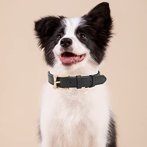 Collar de Cuero para Perro Padded Negro XL miniatura 5