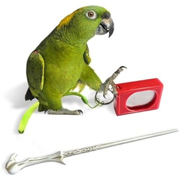 best bird harness for clicker training