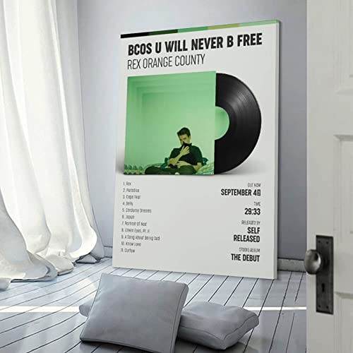 Poster Rex Orange County BCOS U WILL Never B FREE pour déco bureau et chambre