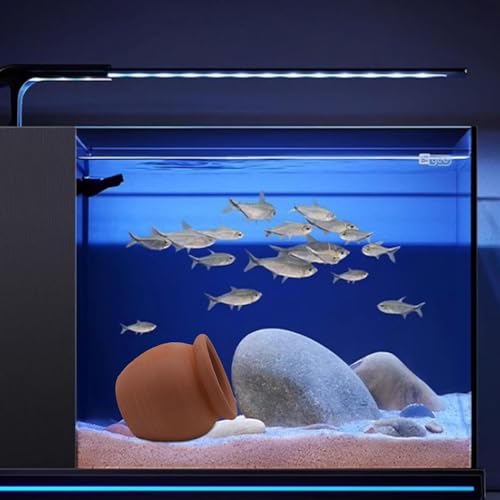 Image of Betta Fish Tank Accessories Decor Hideaway Landscape Ceramic Jar Ornament Aquarium Decorations Shrimp Shelter Cave Hideout for Amano Cichlid Bonsai to Spawn (Large)