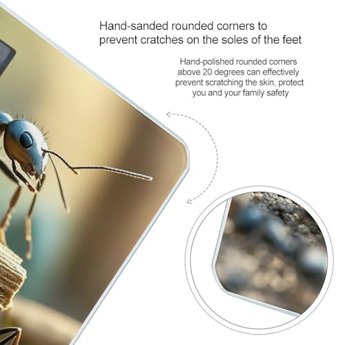 Báscula Digital Ant Bridge de Vidrio Templado para Baño miniatura 4