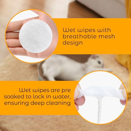 Image of Dog Ear Cleaner Wipes,Cats Dogs Ear Wipes,Debris - Soothes & Relieves Ear Itching,All Natural Ingredients,Safe & Gentle Ear Wipes for Dogs & Cats., white