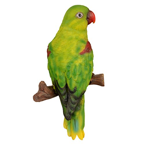 Image of Wonderland wall Parrot for Home or Garden Decor