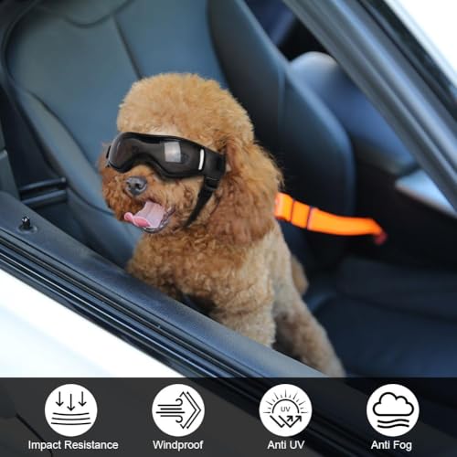 Adiwo Hundebrille,Wasserdicht Hundeschutzbrille mit Hundehalstuch Anti-UV Schutz Hunde Sonnenbrille mit Einstellbar Gummiband Winddichte Schutzbrille Motorradbrille für Kleine Mittelgroße Hunde -S