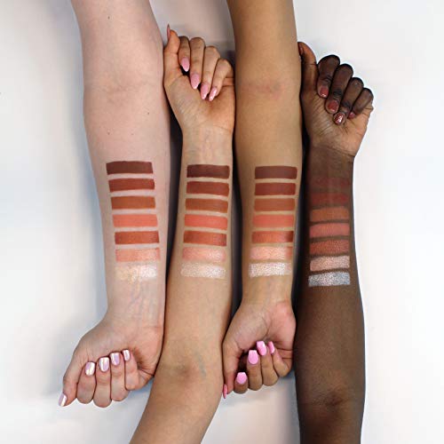 Profusion Cosmetics Eyes Kit, New Nudes Long Lasting Skin Friendly Eyeshadow Primer #TOP3