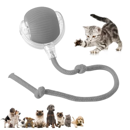 Image of Chewie Viral Interactive Rolling Ball Toy for Cats and Dogs - 360 Smart Automatic Pet Ball (Grey)