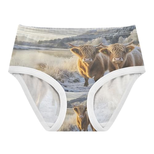 Two Highland Cows Winter Snow Toddler Girls's Underwear 2T 202b8618
