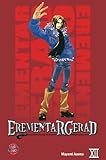 Cover zum Buch Erementar Gerad 12