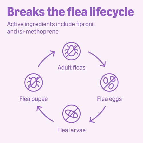Amazon Basics Flea and Tick Topical Treatment and Prevention for Large Dogs (45-88 lbs), Fast Acting and Long Lasting, 3 Count, Packaging May Vary - Image 6