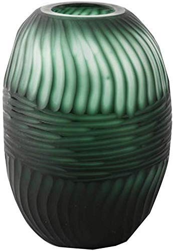 Vase en verre hydroponique stable pour décoration de petite plante green