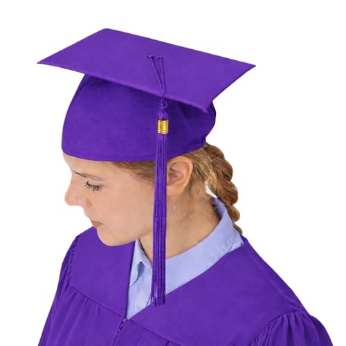 Image of Raj Costume Convocation Dress Graduation Gown and Cap Set for Kids & Adults Convocation Dress Academic Degree Ceremony Robe for School College Graduation Day Matte Polyester Pleated Convocation Gown