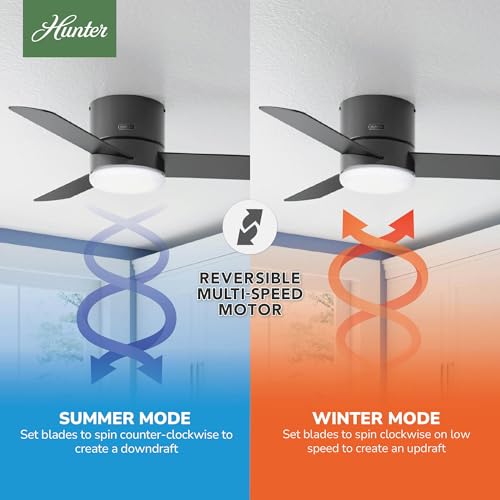 Image of Hunter Minimus, Indoor, Ceiling Fan, with LED Light, 44 inch, Matte Black