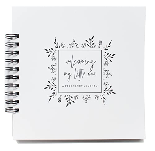 Single Mom Pregnancy Journal: A nine-month book to document pregnancy for single parents