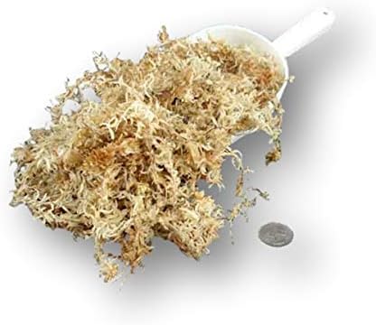AAA New Zealand Sphagnum Moss Standard Bag - (8 quarts) in a resealable bag