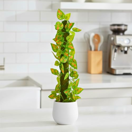 Image of fancymart Artificial Leaves Vine on Moss Stick 60 cm (Without Pot) | Decorative Indoor Plant for Home, Office, Cafe & Restaurant