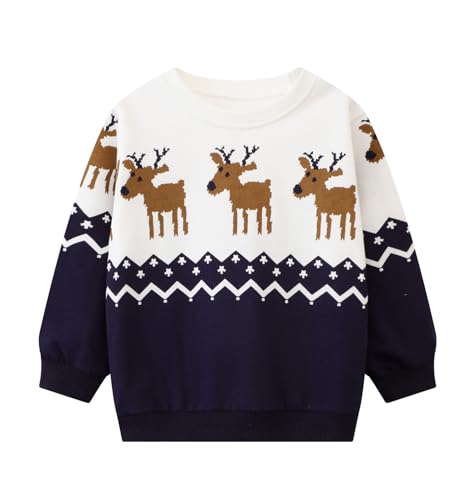 HILEELANG Kids Boy Sweatshirt2