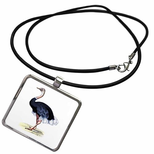 3dRose Florene Birds - Vintage Ostrich Image - Necklace With Rectangle Pendant (ncl_41561)
