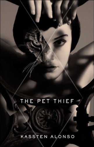 The Pet Thief view 2