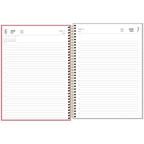 Agenda Executiva Espiral Diária 20 x 27,5 cm Spot Feminina 2023 - Rosa - Tilibra