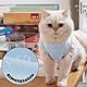 2Pcs Recovery Suit Erholungsanzug Kleidung, Haustiere Schutz Kleidung für Katzen, Chirurgischer Genesungsanzug Katzen Erholungsanzug, Operationsgenesungsanzüge für Katzen (Blau, L)