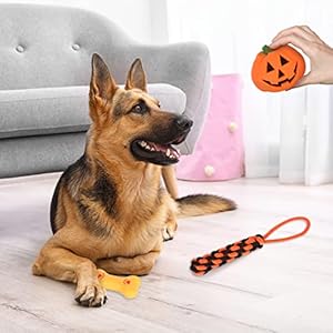   Whaline-7Pcs-Halloween-Pet-Toys-Pumpkin-Bone-Shape-Squeak-Toys-Sturdy-Cotton-Rope-Chewing-Toys-Orange-Black-Soft-Triangle-Scarf-Puppy-Teeth-Cleaning-Toys-for-Small-Medium-Dogs-Halloween-Decoration