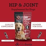 Fidofortis Hüft- und Gelenkergänzung für Hunde - Glucosamin, MSM, Boswellia Serrata für Gelenk- und Knochengesundheit, Pulver in Beuteln, tägliche Dosierung, 30-Tage-Vorrat (große Rassen)