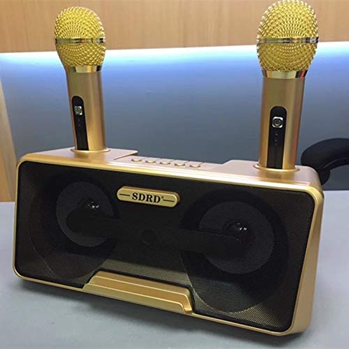 Microphone LLD SD-301 avec double micro sans fil et haut-parleur Bluetooth doré - 2