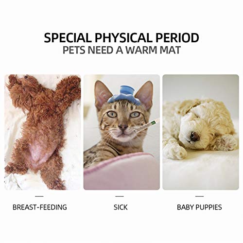 mewmewcat Pet Almofada de Aquecimento do Animal de Estimação Inverno Mais Quente Cama Mat Cobertor E