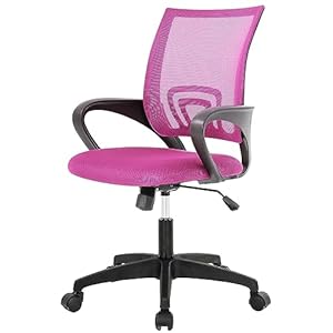 PayLessHere Home Office Chair Desk Computer Chair Adjustable Ergonomic Chair Lumbar Support Armrest Executive with High Density Mesh 360 Degree Swivel Chair for Men Women Adults Chair (Pink)