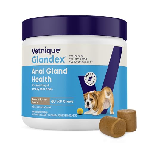 Vetnique Glandex Anal Gland Soft Chew Treats with Pumpkin for Dogs Digestive Enzymes, Probiotics Fiber Supplement for Dogs Boot The Scoot (Peanut Butter Chews, 60 Count)