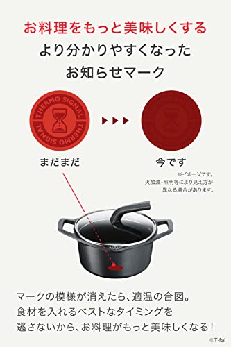 ティファール キャストライン アロマ プロ シチューポット 20cmサムネイル5