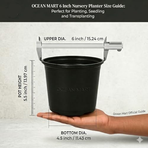 Image of Plastic Flower Pots 6 Inch | Black Nursery Plant Pots for Indoor & Outdoor Gardening | Lightweight, Durable Pots with Drainage for Seeds, Succulents & Saplings | Pack of 10