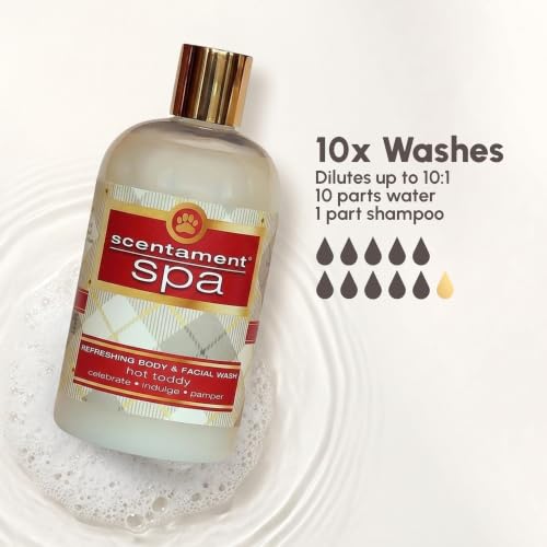 Image of Best Shot Scentament Spa Seasonal Facial & Body Wash, Hot Toddy, 1 Gallon