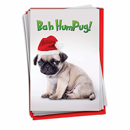NobleWorks - Box of 12 Dog Christmas Cards Funny - Fun Adorable Pet Dogs, Animal Holiday Greetings with Envelopes (1 Design, 12 Cards) - Bah Humpug C7065XSG-B12x1