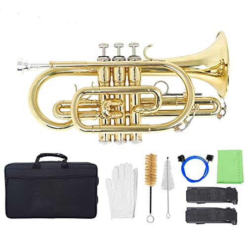 vtFbVi Bb tbgRlbg ^JǊy L[P[Xt  N[jONX uV gybgy