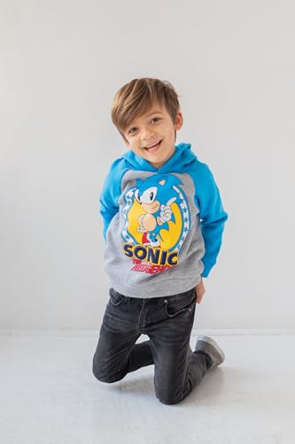 Image of SEGA Sonic the Hedgehog Boys' Fleece Hoodie Toddler to Big Kid