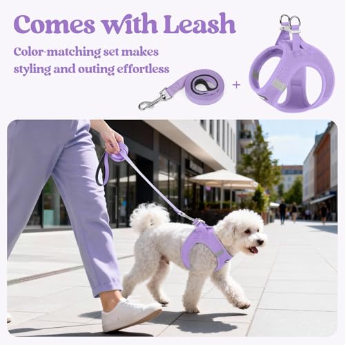 Image of rabbitgoo Dog Harness Small Sized and Leash Set, Step-in Puppy Pet Vest