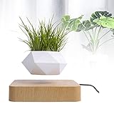 🌱【Aviso】1. Al plantar plantas, intente mantener la posición media de la maceta en la medida de lo posible, para no exceder la capacidad de carga máxima, de lo contrario, se desplazará o se hundirá (excluyendo las plantas) 2. Al regar las plantas, no las rocíe en la base.