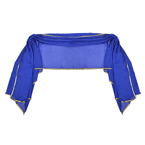 Stunning Handmade Chiffon Belly Dance Veil For Practice3