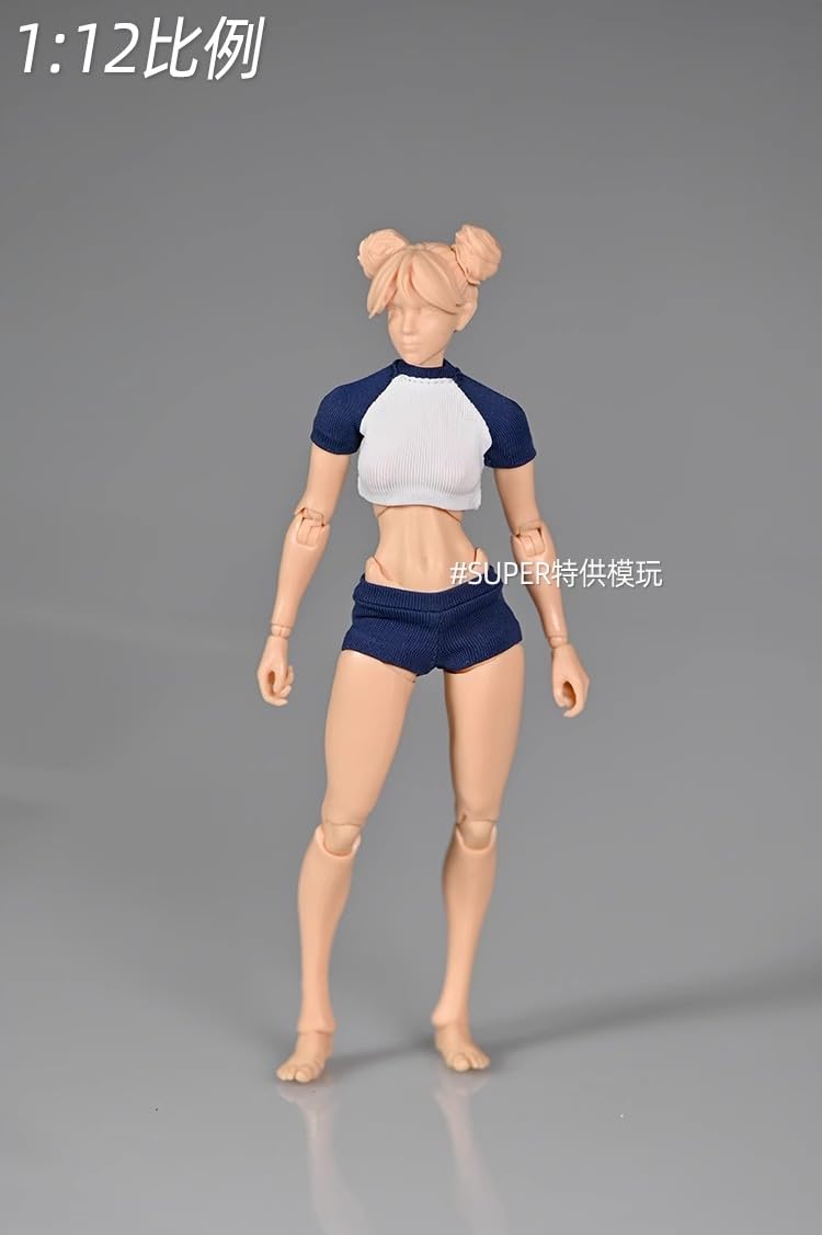 TOYBARJAPAN] 1/12 スケール アクションフィギュア VERYCOOL VCF-3001