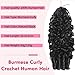 Beauty Queen Burmese Curly Crochet Human Hair 16inch 60g Knotless Pre-Separated Feather Human Crochet Hair Lightweight Reusable Remy Hair Extensions With Spiral Curl for Women Natural Black Color