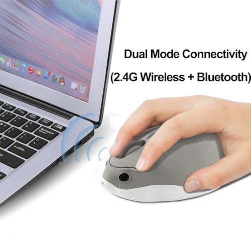 Wireless Mouse Bluetooth Cute Hamster Shape Kawaii Fun Portable Silent Lightweight Quiet Cordless Gaming Mice for PC Laptop Computer Mac iPad Pro MacBook Pro/Air Kids Boys Girls Women Men Gift