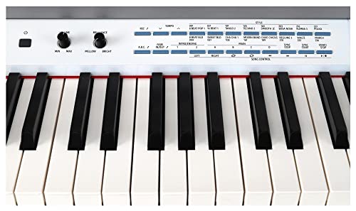 Classic Cantabile DP-A 610 Piano Numérique – 88 touches clavier électronique – Synthetiseur avec USB-MIDI, 1200 voix… - Les Beatles, Paul McCartney, John Lennon, RIngo Starr, George Harrison Classic Cantabile DP-A 610 Piano Numérique - 88 touches clavier électronique - Synthetiseur avec USB-MIDI, 1200 voix… – Image 8