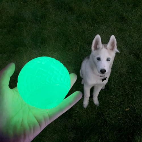 feixun Hundespielzeug, leuchtet im Dunkeln, 2 Stück