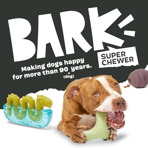 Image of BarkBox Sven The Hedgie Super Chewer Dog Toy - Large | Natural Rubber, Wacky Bounce & Rippled Texture | Durable Dog Toy for Aggressive Chewers, Medium to Dogs