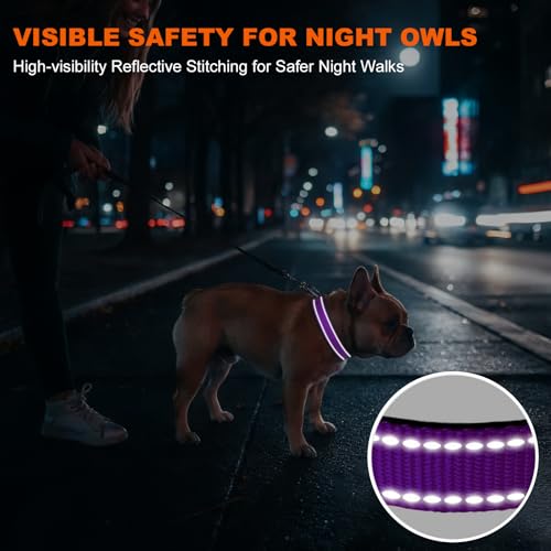 Image of Taglory Reflective Dog Collar with Safety Locking Buckle, Adjustable Nylon Pet Collars for Medium Dogs Female Male, Purple, M
