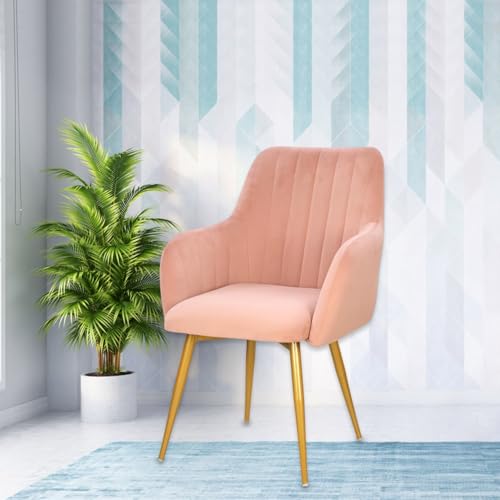 Image of Taboo Velvet Dining Chair Set of 2 | Upholstered Accent Arm Chairs | Soft Cushioned Seat with Backrest | Modern Velvet Fabric Chairs with Metal Legs | Living Room, Bedroom, Cafe & Restaurant | Peach